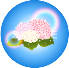 No.671　キラキラ☆紫陽花と虹