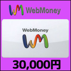 WebMoney（30,000円）