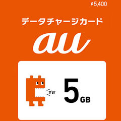 auデータチャージカード5.0GB (5,500円)