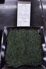全国手もみ茶品評会2016　2等賞受賞茶2-9