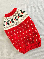 ヒイラギのセーターМＳ「赤」