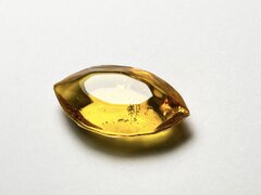 「馬の目カット」レジン用モールド・