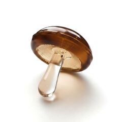 20mm「きのこ」レジン用モールド