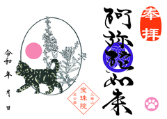 鍵しっぽのさび柄子猫と禊萩（ミソハギ）「阿弥陀如来」