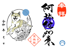 柴犬とセンブリ「阿弥陀如来」