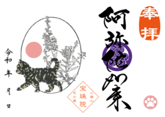 鍵しっぽのさび柄子猫と禊萩（ミソハギ）「阿弥陀如来」