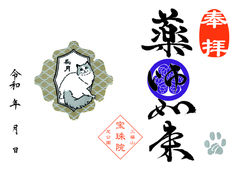 令和8年　9月ラグドール「薬師如来」