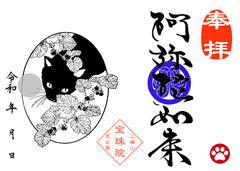黒猫とフユイチゴのかくれんぼ『阿弥陀如来』