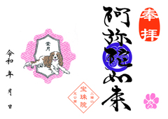 令和8年　8月キャバリア「阿弥陀如来」