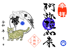 マンチカンとデュランタ（ハリマツリ）「阿弥陀如来」