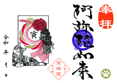 トラ猫と牡丹「阿弥陀如来」