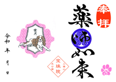 令和8年　8月キャバリア「薬師如来」