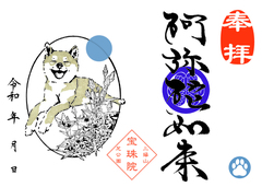 柴犬とセンブリ「阿弥陀如来」