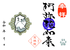 令和8年　9月ラグドール「阿弥陀如来」
