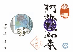 花火と猫の親子「阿弥陀如来」