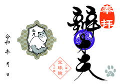 令和8年　9月ラグドール「弁才天」