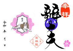 令和8年　8月キャバリア「弁才天」