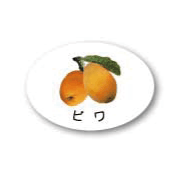 ZY-18　フルーツシール　びわ