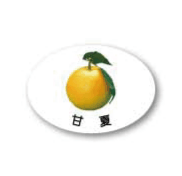 ZY-25　フルーツシール　甘夏