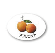 ZY-11　フルーツシール　アプリコット