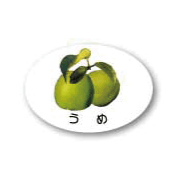 ZY-13　フルーツシール　うめ