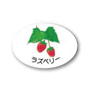 ZY-22　フルーツシール　ラズベリー