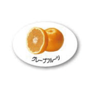 ZY-10　フルーツシール　グレープフルーツ