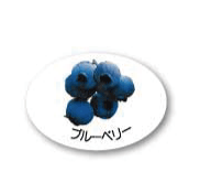 ZY-19　フルーツシール　ブルーベリー