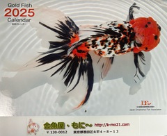 金魚屋 もに～