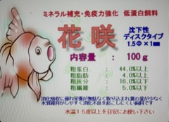 盃で泳ぐ金魚　大　ソメイヨシノ　置物 盃で泳ぐ金魚 大 ソメイヨシノ 置物