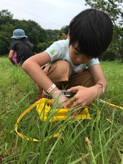 IM251　昆虫キャンプ　7月24日〜7月25日　（1泊2日）　小学1年生〜小学６年生