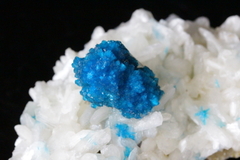 カバンサイト クラスター カバンサイト クラスター 【公式通販】