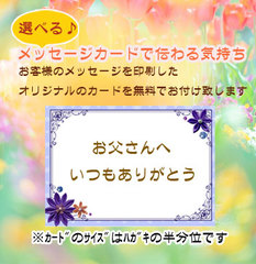 【ギフトご注文者様限定】選べる！メッセージカード