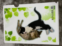 もふもふ西宮　オリジナルクリアファイル