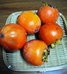 自然栽培　水島柿