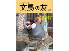 文鳥の商品一覧 | inkonite いんこにっと