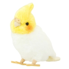 オカメインコの商品一覧 | inkonite いんこにっと