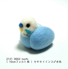 せきせいいんこ インコの代表種ともいえる