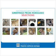 ポストカードセット「GREETINGS FROM HOKKAIDO SELECTIONS」2014 