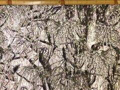 布「しだれ桜」