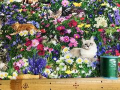布「お花畑に猫２」