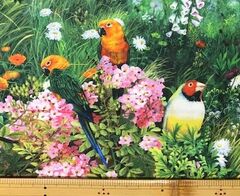 完売　布「鳥」リアルプリント