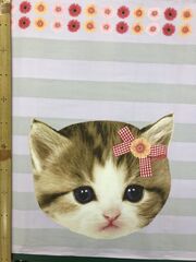 布「ネコ子」