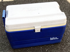 クーラーBOX(M)