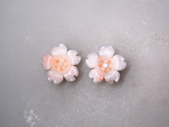 白サンゴ　桜の花のルースペア252