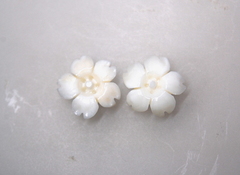 白サンゴ　桜の花のルースペア254