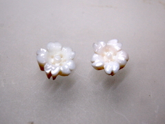 白サンゴ　小さな桜の花のルースペア255