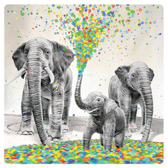 希少 その他の短編ズ CD(-R)8枚 森脇ひとみ CD-R2枚 その他