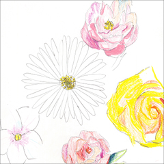 ROSE RECORDS オンラインショップ