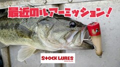 STOCK】WEB SHOP